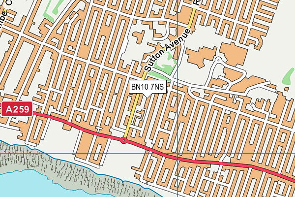 BN10 7NS map - OS VectorMap District (Ordnance Survey)