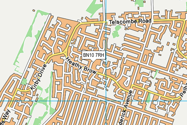 BN10 7RH map - OS VectorMap District (Ordnance Survey)