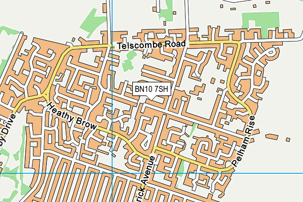 BN10 7SH map - OS VectorMap District (Ordnance Survey)