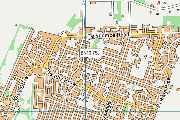 BN10 7SJ map - OS VectorMap District (Ordnance Survey)