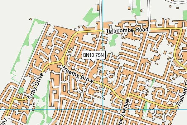 BN10 7SN map - OS VectorMap District (Ordnance Survey)