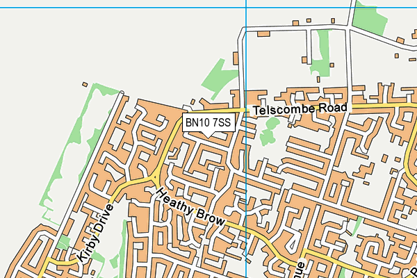 BN10 7SS map - OS VectorMap District (Ordnance Survey)
