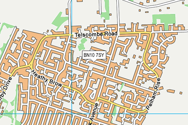 BN10 7SY map - OS VectorMap District (Ordnance Survey)