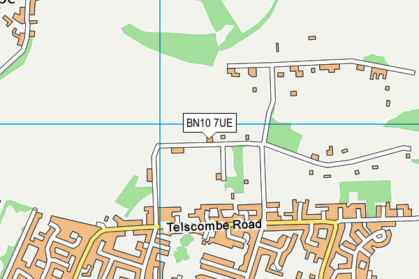 BN10 7UE map - OS VectorMap District (Ordnance Survey)
