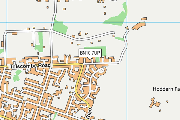 BN10 7UP map - OS VectorMap District (Ordnance Survey)
