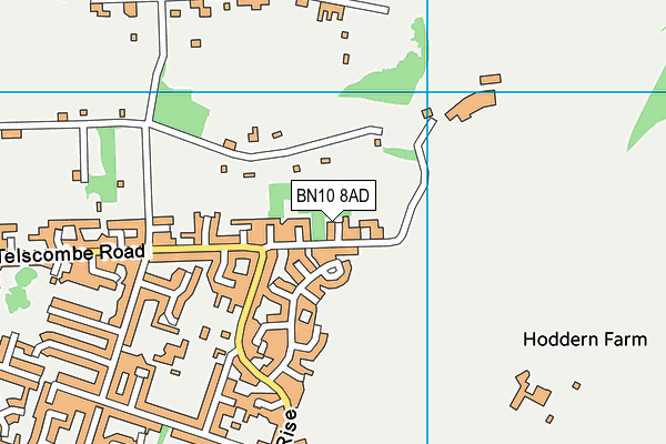 BN10 8AD map - OS VectorMap District (Ordnance Survey)