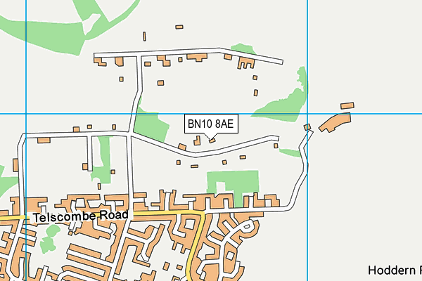 BN10 8AE map - OS VectorMap District (Ordnance Survey)