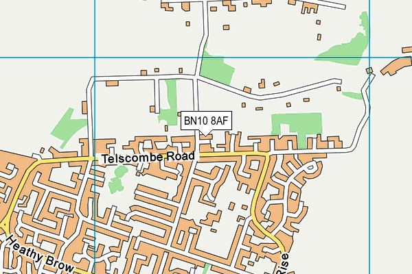 BN10 8AF map - OS VectorMap District (Ordnance Survey)