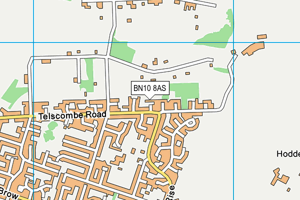 BN10 8AS map - OS VectorMap District (Ordnance Survey)