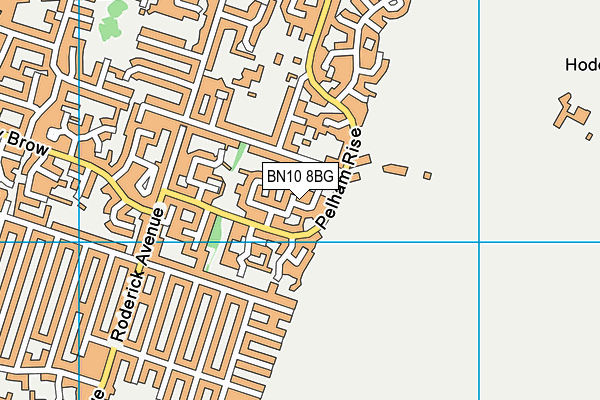 BN10 8BG map - OS VectorMap District (Ordnance Survey)