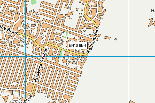 BN10 8BH map - OS VectorMap District (Ordnance Survey)