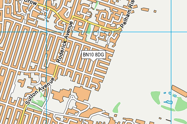 BN10 8DG map - OS VectorMap District (Ordnance Survey)