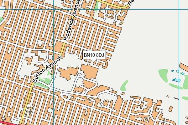 BN10 8DJ map - OS VectorMap District (Ordnance Survey)