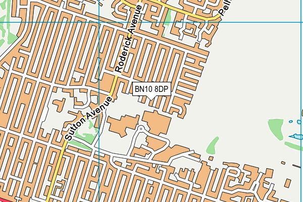 BN10 8DP map - OS VectorMap District (Ordnance Survey)