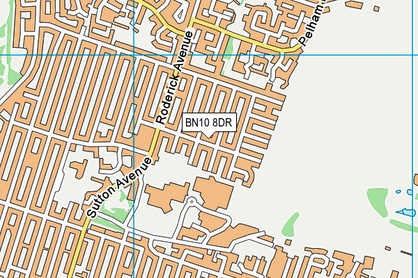 BN10 8DR map - OS VectorMap District (Ordnance Survey)