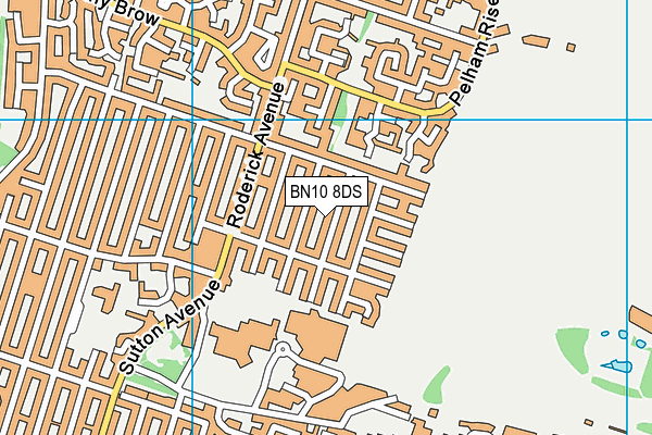 BN10 8DS map - OS VectorMap District (Ordnance Survey)