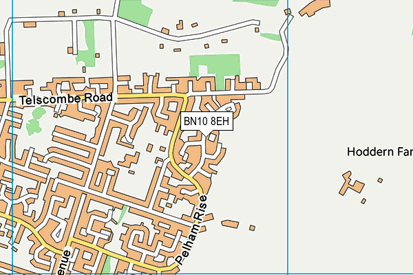 BN10 8EH map - OS VectorMap District (Ordnance Survey)