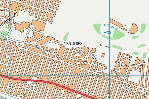 BN10 8EX map - OS VectorMap District (Ordnance Survey)