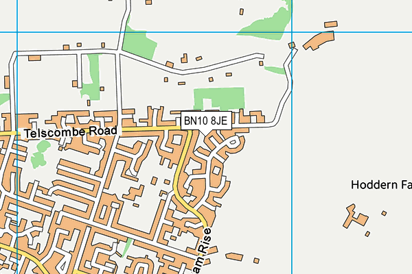 BN10 8JE map - OS VectorMap District (Ordnance Survey)