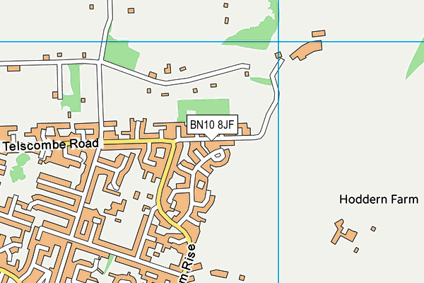 BN10 8JF map - OS VectorMap District (Ordnance Survey)