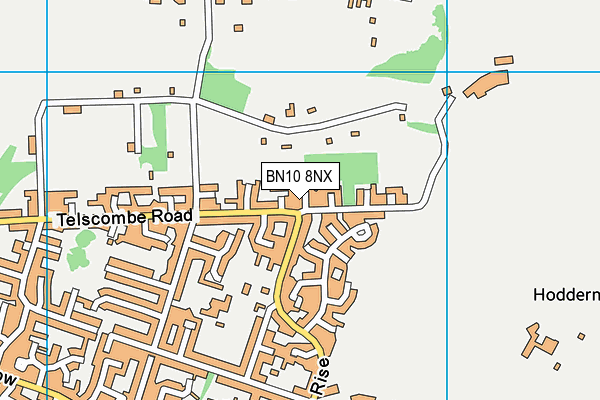 BN10 8NX map - OS VectorMap District (Ordnance Survey)