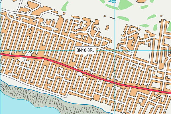 BN10 8RJ map - OS VectorMap District (Ordnance Survey)