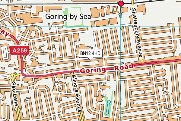 West Park CofE Primary (Controlled) School map (BN12 4HD) - OS VectorMap District (Ordnance Survey)