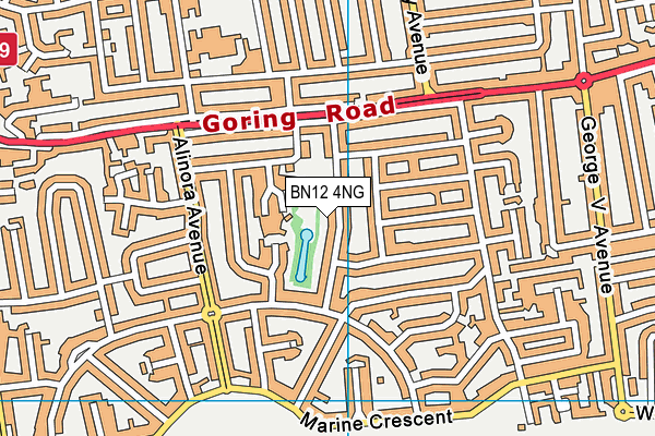Courtlands Independent Special School map (BN12 4NG) - OS VectorMap District (Ordnance Survey)