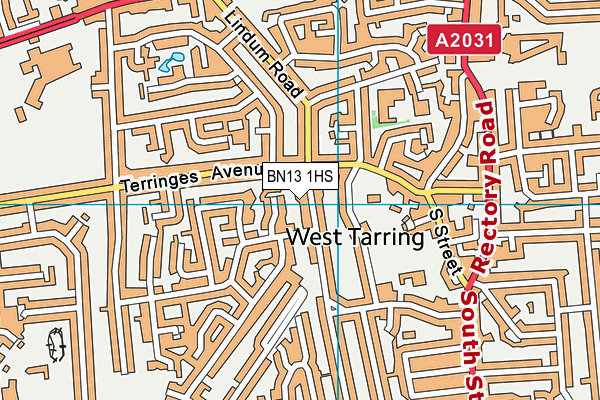 BN13 1HS map - OS VectorMap District (Ordnance Survey)