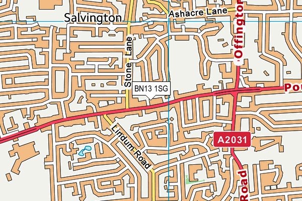 BN13 1SG map - OS VectorMap District (Ordnance Survey)