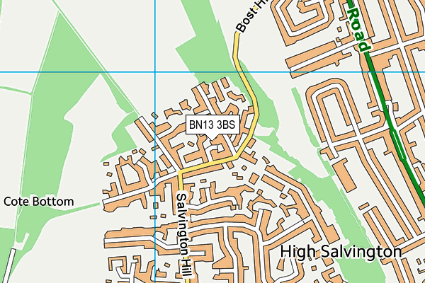 BN13 3BS map - OS VectorMap District (Ordnance Survey)
