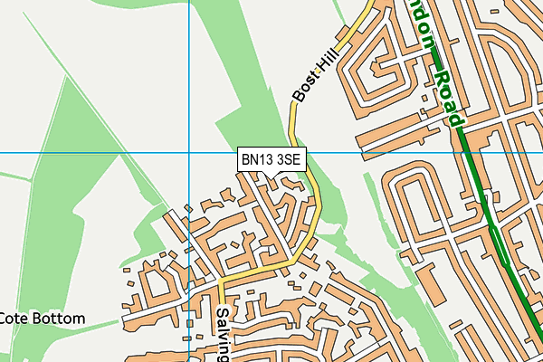 BN13 3SE map - OS VectorMap District (Ordnance Survey)