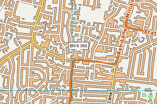 BN16 3NS map - OS VectorMap District (Ordnance Survey)