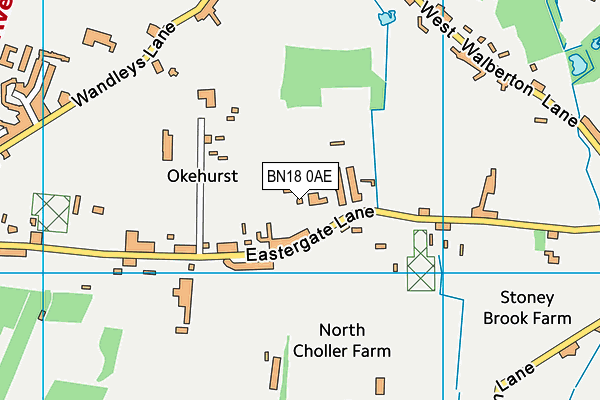 BN18 0AE map - OS VectorMap District (Ordnance Survey)