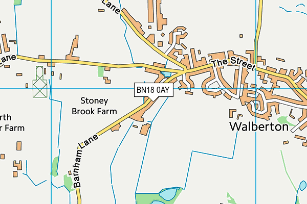 BN18 0AY map - OS VectorMap District (Ordnance Survey)