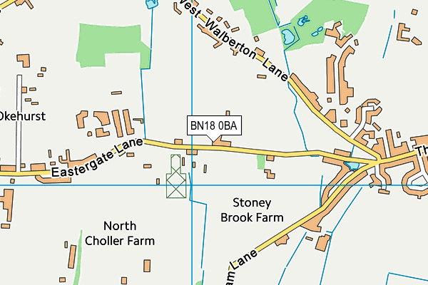 BN18 0BA map - OS VectorMap District (Ordnance Survey)