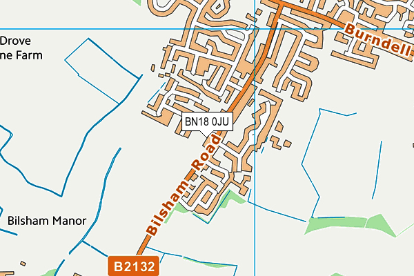 BN18 0JU map - OS VectorMap District (Ordnance Survey)