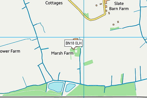 BN18 0LH map - OS VectorMap District (Ordnance Survey)