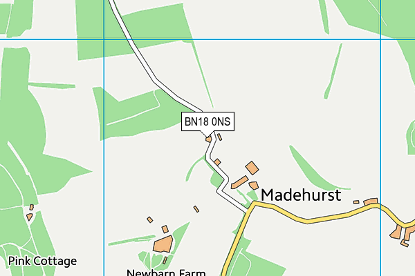 BN18 0NS map - OS VectorMap District (Ordnance Survey)
