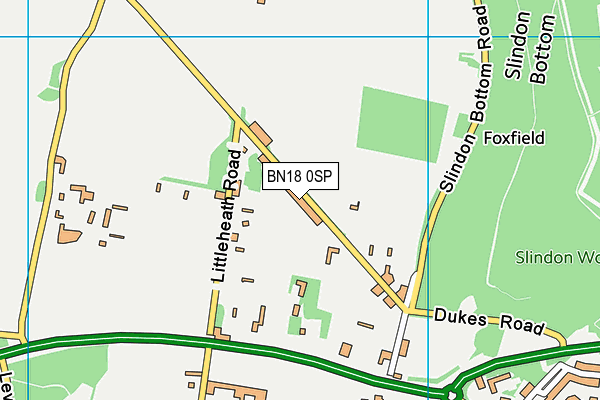 BN18 0SP map - OS VectorMap District (Ordnance Survey)