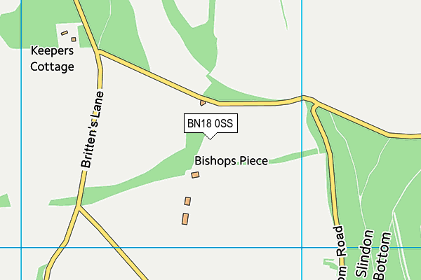 BN18 0SS map - OS VectorMap District (Ordnance Survey)
