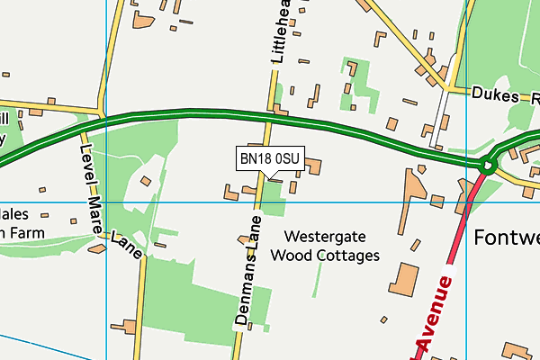 BN18 0SU map - OS VectorMap District (Ordnance Survey)