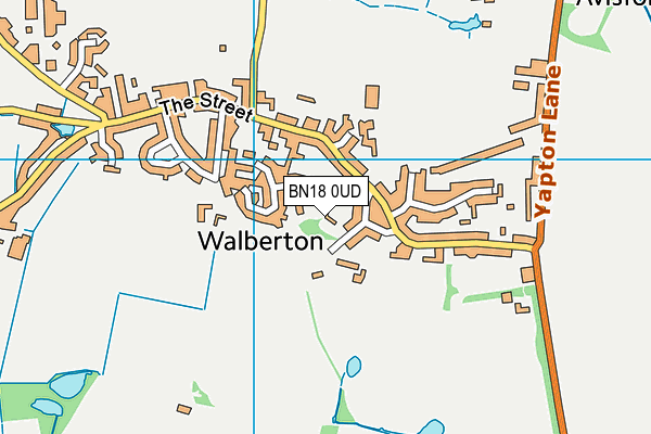 BN18 0UD map - OS VectorMap District (Ordnance Survey)