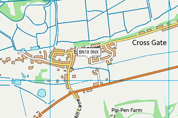BN18 9NX map - OS VectorMap District (Ordnance Survey)