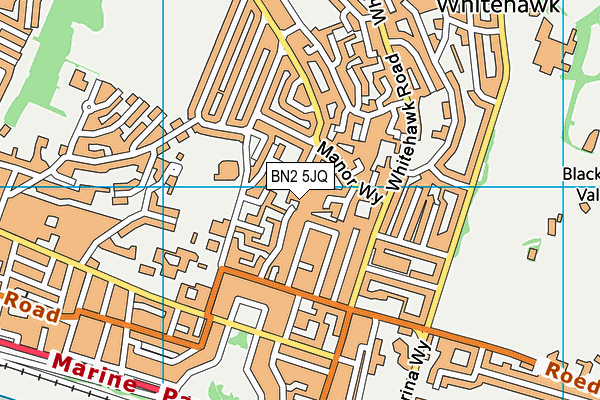 BN2 5JQ map - OS VectorMap District (Ordnance Survey)