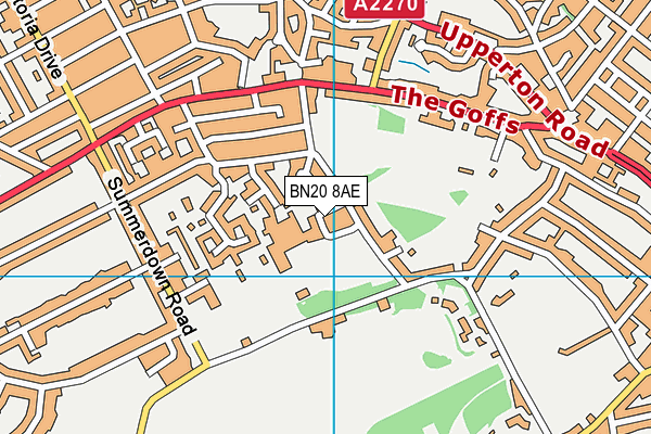 BN20 8AE map - OS VectorMap District (Ordnance Survey)