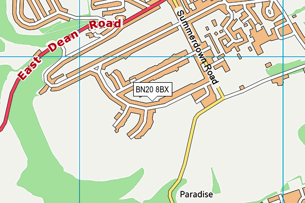 Summerdown Playing Fields map (BN20 8BX) - OS VectorMap District (Ordnance Survey)