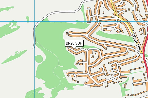 BN20 9DP map - OS VectorMap District (Ordnance Survey)