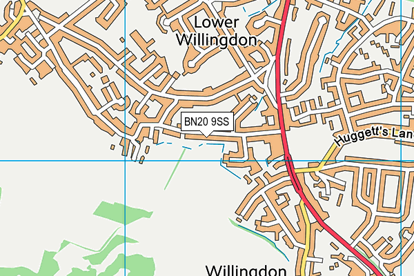 BN20 9SS map - OS VectorMap District (Ordnance Survey)