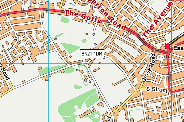BN21 1DR map - OS VectorMap District (Ordnance Survey)